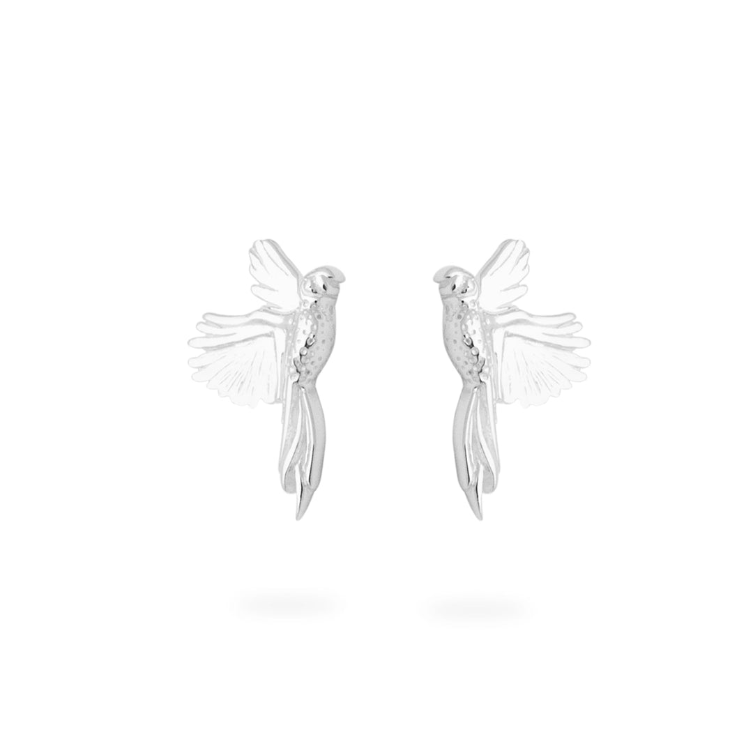 Tropical Parrot Silver Studs