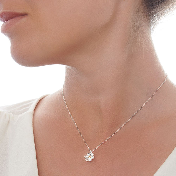 Daisy Petal Necklace (CHN12451)