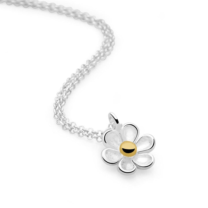 Daisy Petal Gift Set (SET1011)