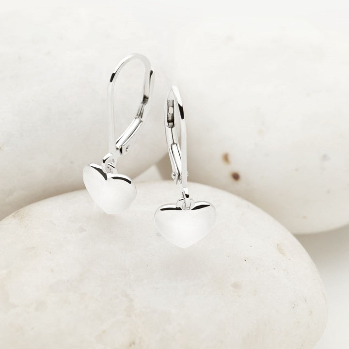 Dainty Heart Earrings (E48851)