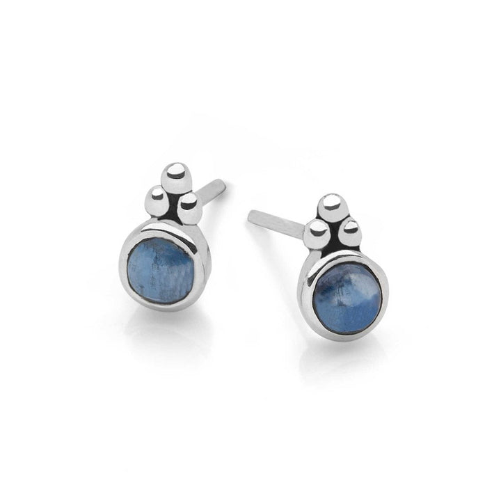Deep Ocean Earrings