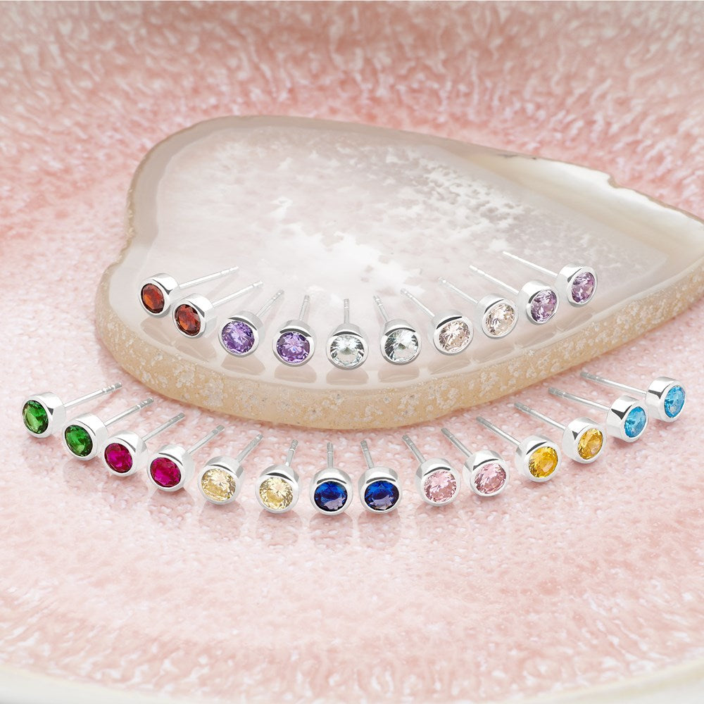 February Birthstone Studs (E50541)